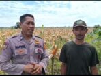 IMG-20260514-WA0019