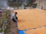 IMG-20260713-WA0050